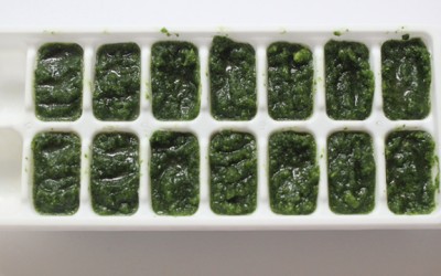 Green Veggie Cubes for Smoothies