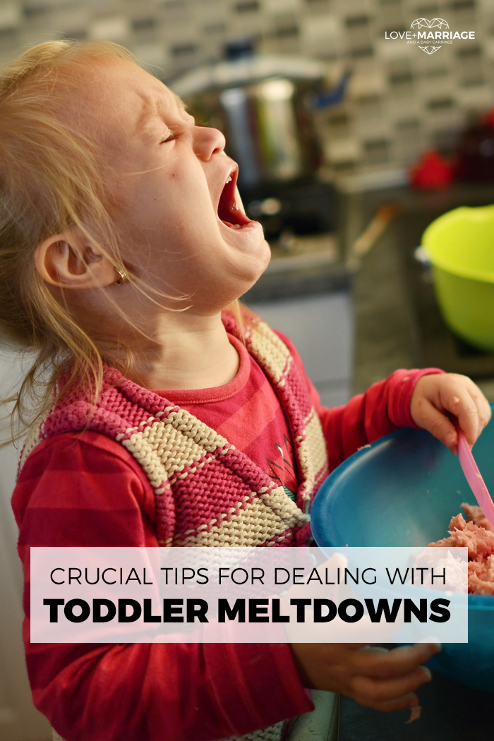 6 Crucial Tips for Handling Toddler Meltdowns