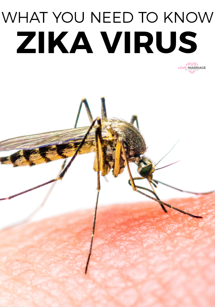 Zika Virus: What You Absolutely Must Know