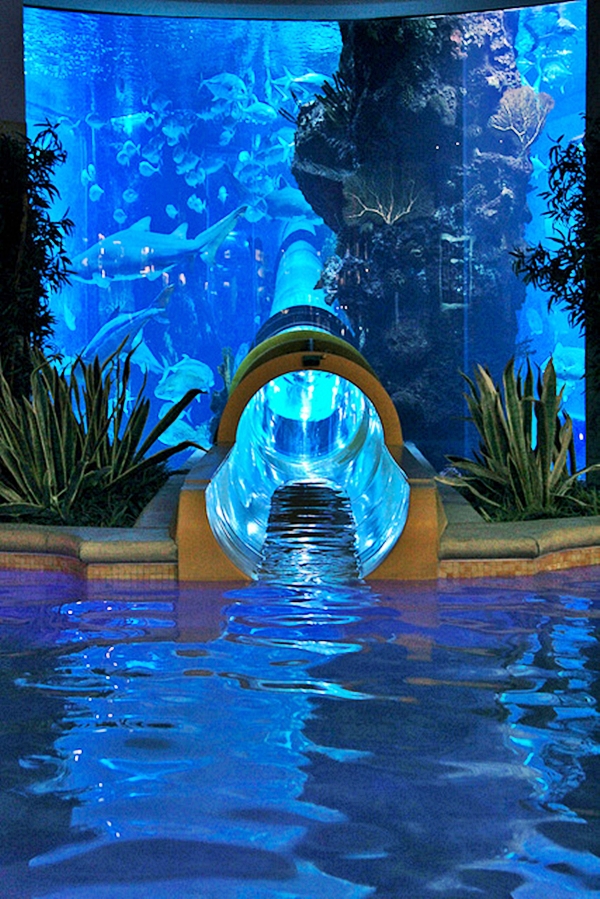 The Tank Water Slide