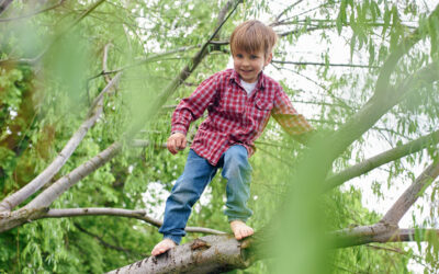 Science Explains Risky Outdoor Play Is Good Four Kids Health