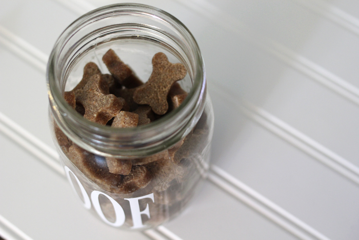 can you use a container for dog treats