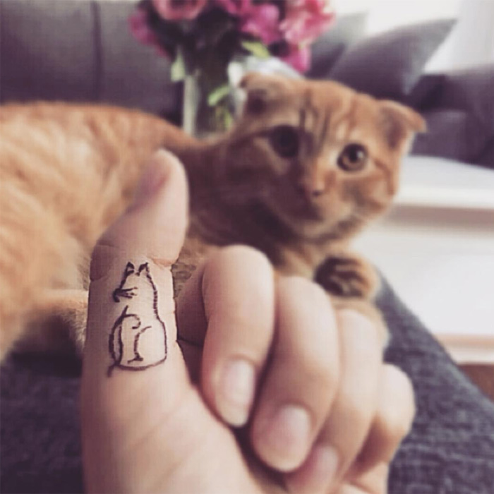28 Cute Cat Tattoos On Finger  Tattoo Designs  TattoosBagcom
