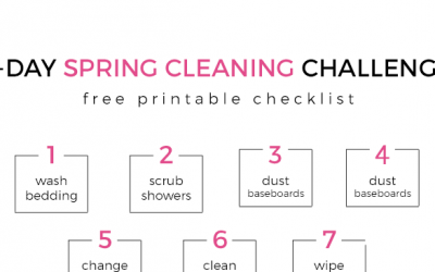 7 Day Spring Cleaning Challenge