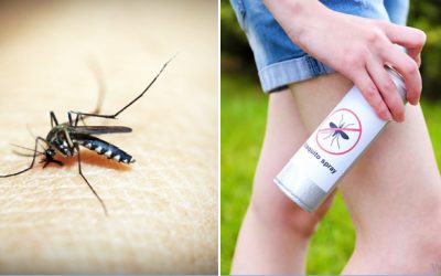 Why Mosquitoes Bite Some People and Not Others