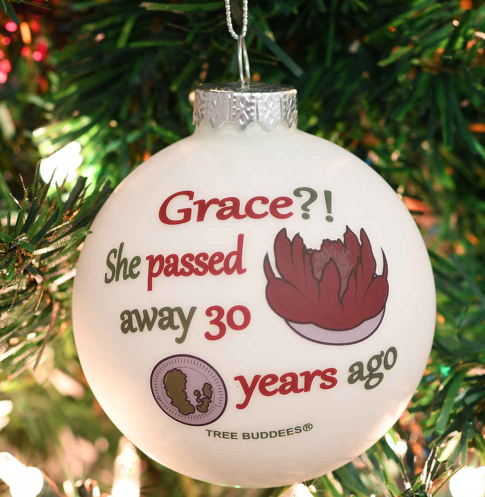 10 Funny Christmas Ornaments for Your Tree Love and Marriage