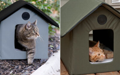 Insulated and Heated Outdoor Cat House