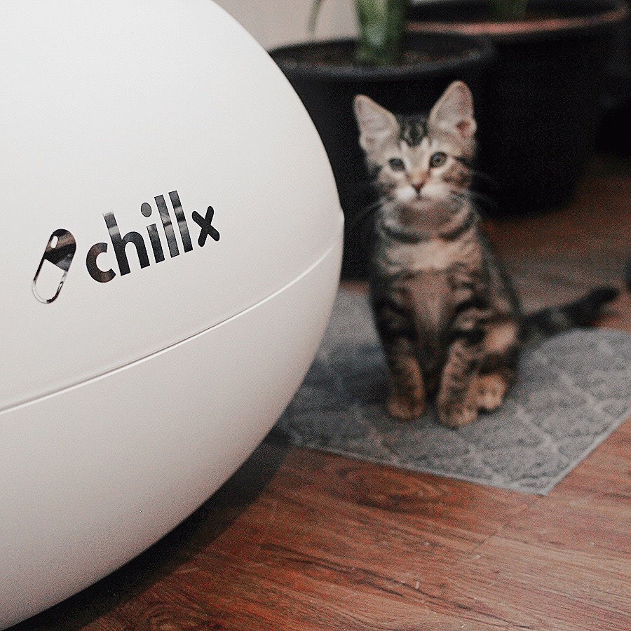 Is A Self Cleaning Litter Box Worth It? - ChillX AutoEgg