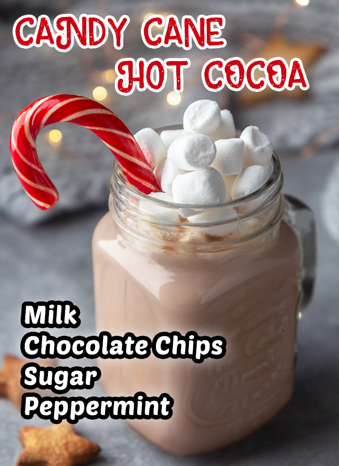 Peppermint Hot Chocolate is a super simple Christmas drink with just four ingredients. #christmas #drink #chocolate #peppermint #recipe #yummy